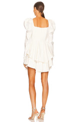 x REVOLVE The Boleyn Dress