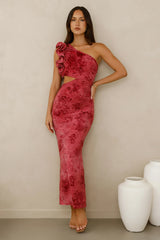 Mystique Beauty One Shoulder Maxi Dress