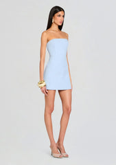 Poppi Heavy Crepe Strapless Mini Dress