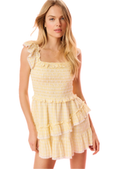 Aline Gingham Eyelet Mini Dress